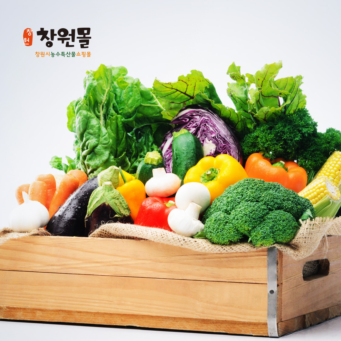경상남도 창원시 농수특산물 쇼핑몰 창원몰 제작