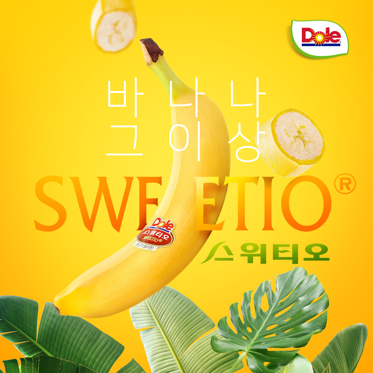 Dole Korea 전제품 상세페이지 제작